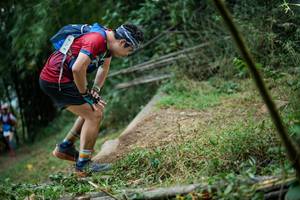 BIB: 
                            <button type="button" onclick="openModal(19432623)" class="btn btn-primary btn-sm float-right btn-popup" data-toggle="modal" data-target=".modal-high-quality">
                        <i class="fas fa-shopping-cart"></i> Add to Cart
                    </button>
                                            <button type="button" onclick="isThisMe(19432623, true)" class="btn btn-success btn-sm float-right btn-popup btn-isme hidden" data-toggle="tooltip" data-placement="bottom" title="นี่คือรูปของคุณใช่ไหม คลิกที่นี่เพื่อเอาเข้าอัลบั้ม">
                        <i class="fas fa-plus"></i> Add to album
                    </button>
                    <button type="button" onclick="isThisMe(19432623, false)" class="btn btn-warning btn-sm float-right btn-popup btn-isnotme hidden">
                        <i class="fas fa-ban"></i> Remove from album
                    </button>